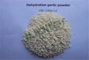 Dejeneral Powder Lay